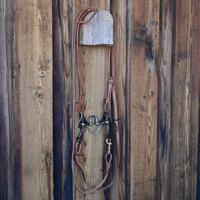 Kerry Kelley 50 Slow Twist 20 Correction Bridle Rig w/All New Leather