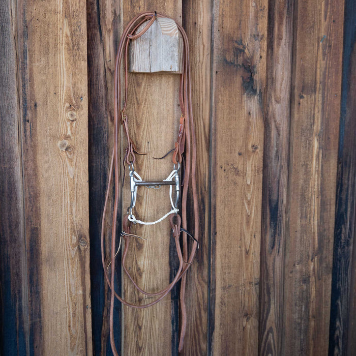 Don Hansen Mullen Bridle Rig w/All New Leather
