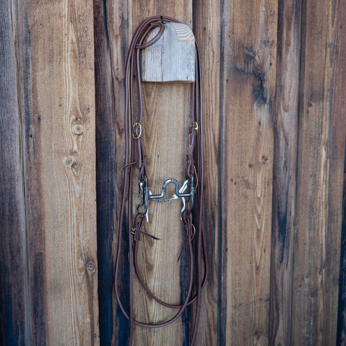 Flat Port Bridle Rig w/All New Leather Tack - Rigs misc
