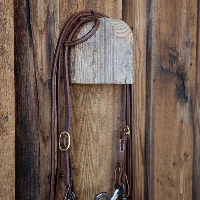 Flat Port Bridle Rig w/All New Leather Tack - Rigs misc