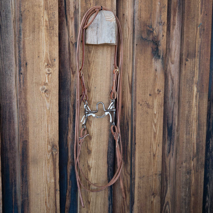 Professional's Choice Solid Port Bridle Rig w/All New Leather