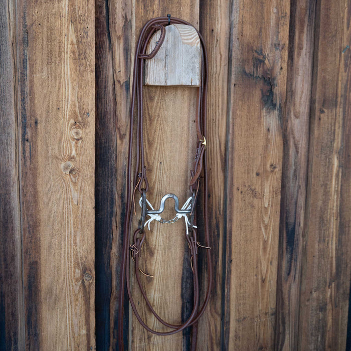 Solid Port Bridle Rig w/All New Leather