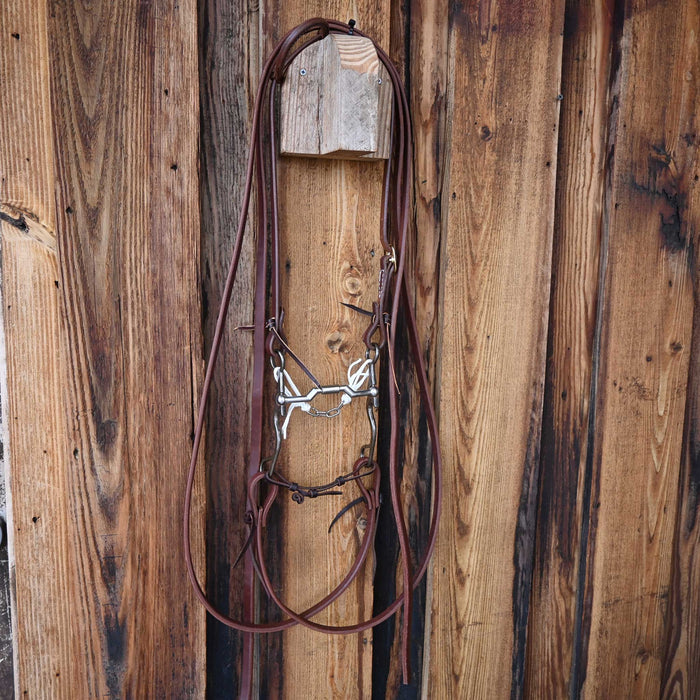Kerry Kelley 02S Billy Allen Bridle Rig w/Single Ear Headstall