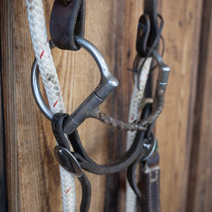 JD Morrow D-Ring Twisted Wire Snaffle Bridle Rig w/Browband Headstall
