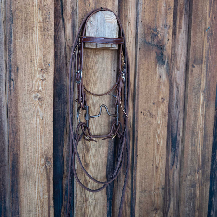 "DH" D-Ring Solid Port Bridle Rig w/All New Leather Tack - Rigs misc