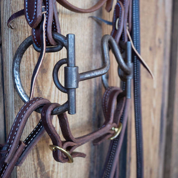 "DH" D-Ring Solid Port Bridle Rig w/All New Leather Tack - Rigs misc