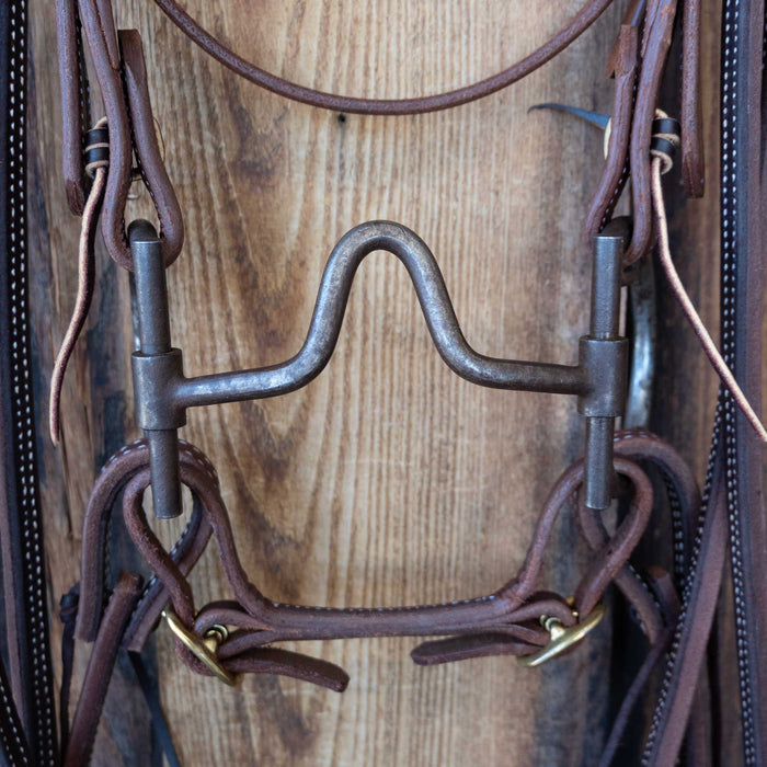 "DH" D-Ring Solid Port Bridle Rig w/All New Leather Tack - Rigs misc