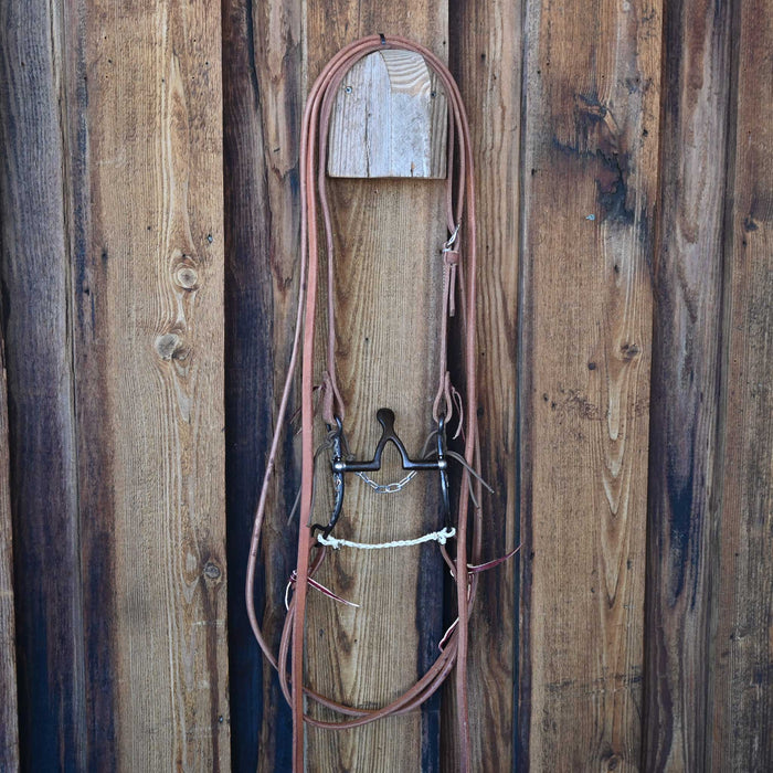 Kerry Kelley 65 Cathedral Bridle Rig w/Craig Lewis Leather