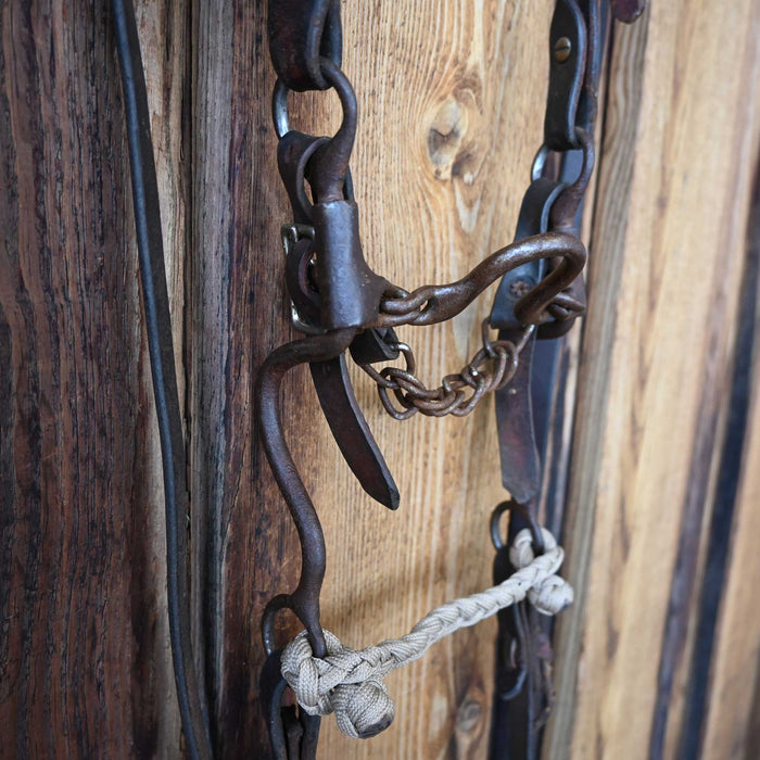 Ported Chain Bridle Rig w/Split Ear Headstall