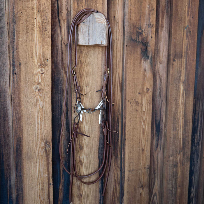 Russel Yates Dogbone Bridle Rig w/All New Leather