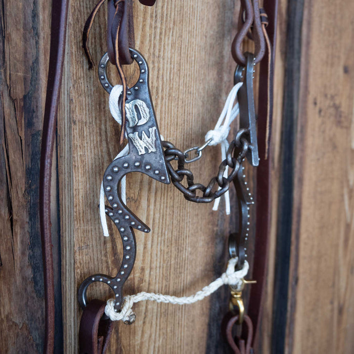 Gordy Alderson Chain Bridle Rig w/All New Leather