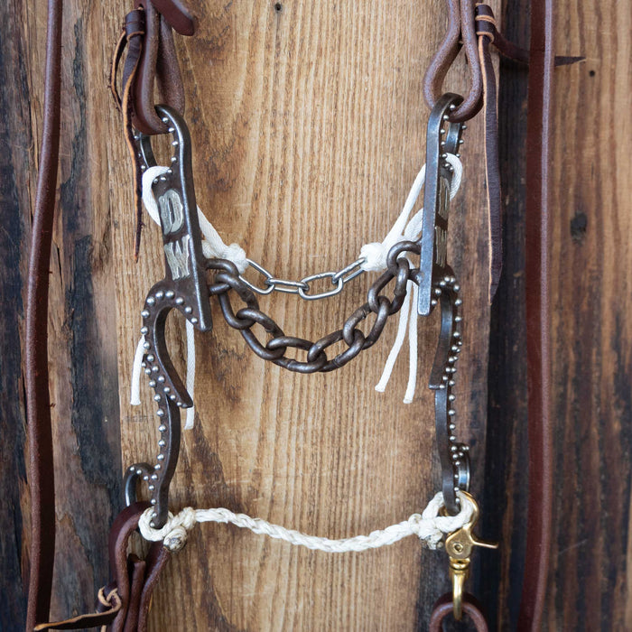 Gordy Alderson Chain Bridle Rig w/All New Leather