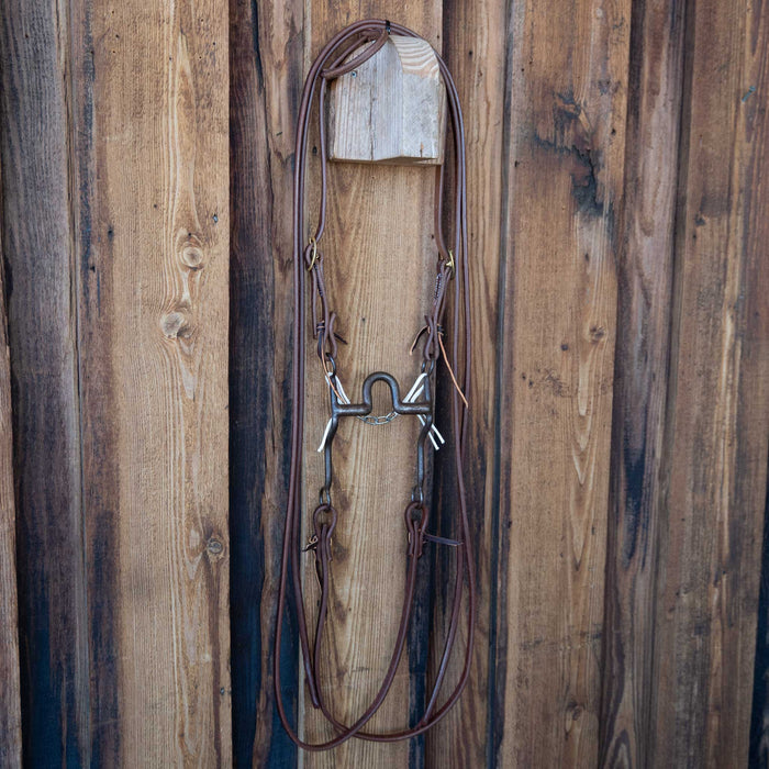Daryl Davis Solid Port Bridle Rig w/All New Leather