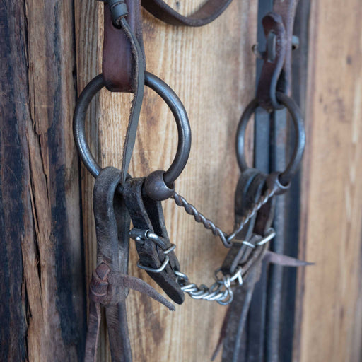 Quisenberry O-Ring Twisted Wire Snaffle Bridle Rig w/Browband Headstall Tack - Rigs Graeme Quisenberry