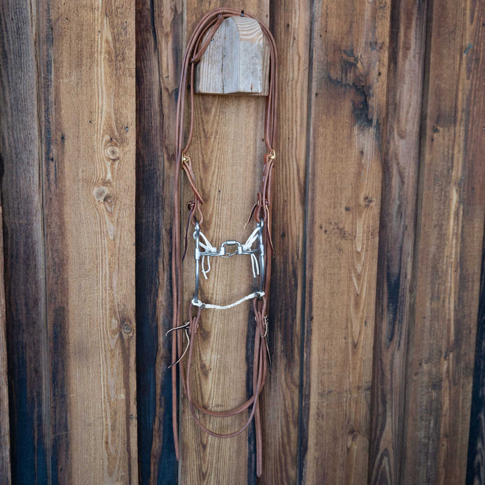Josh Ownbey Twisted Hinge Correction Bridle Rig w/All New Leather