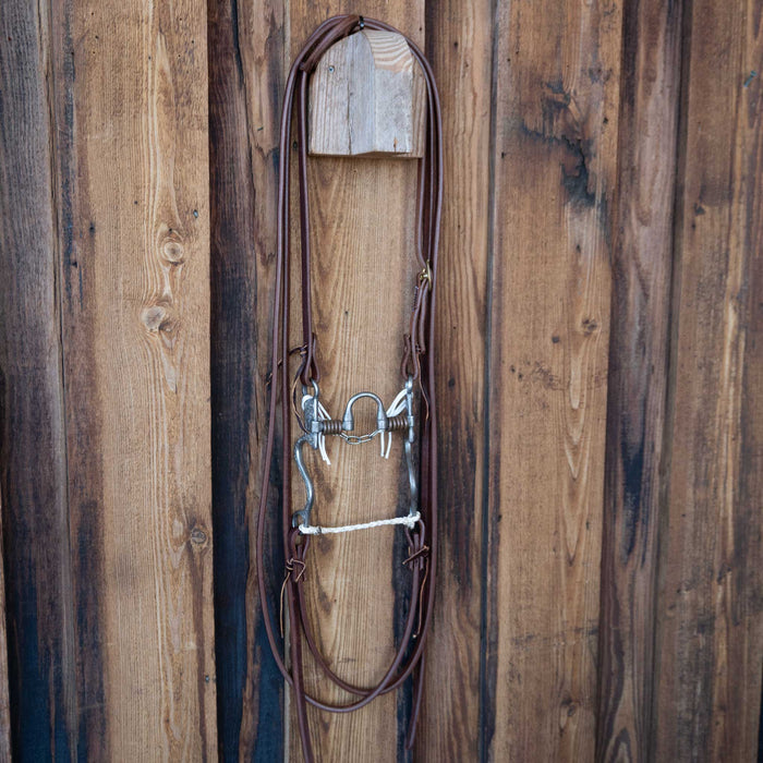 Josh Ownbey Correction Bridle Rig w/All New Leather