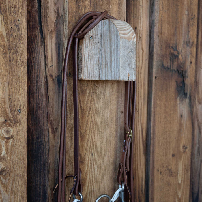 Josh Ownbey Correction Bridle Rig w/All New Leather