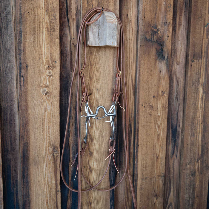 Josh Ownbey Solid Port Bridle Rig w/All New Leather
