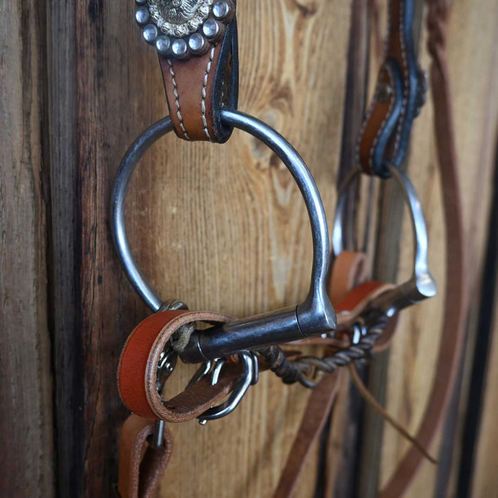 D-Ring Twisted Wire Snaffle Bridle Rig w/Single Ear Headstall Tack - Rigs MISC