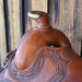 Antique Bob Marrs Saddle Collectibles Bob Marrs
