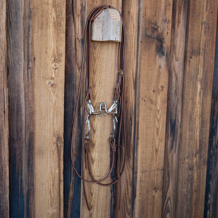 Josh Ownbey High Port Bridle Rig w/All New Leather Tack - Rigs Josh Ownbey Cowboy Line