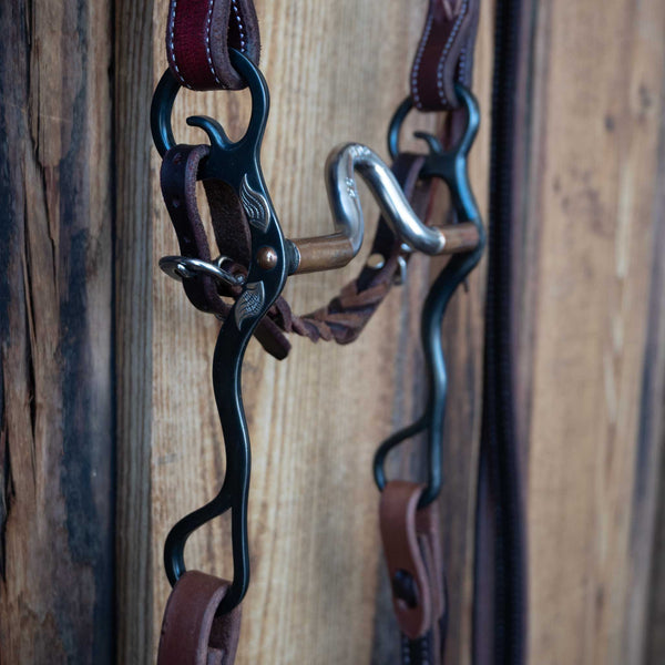 Headstalls & Rigs