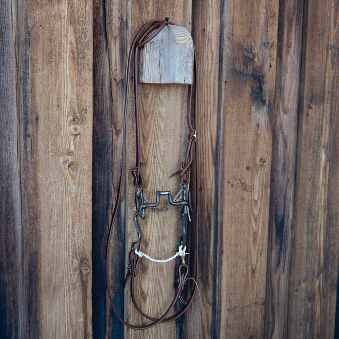 Steven White Hinge Port Bridle Rig w/All New Leather Tack - Rigs S. White