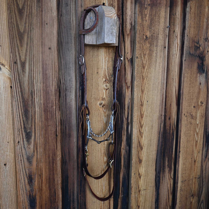 Ported Chain Bridle Rig w/Single Ear Headstall