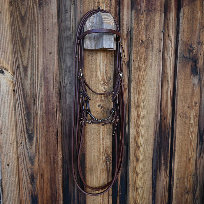 Locked O-Ring Snaffle Bridle Rig w/Browband Headstall