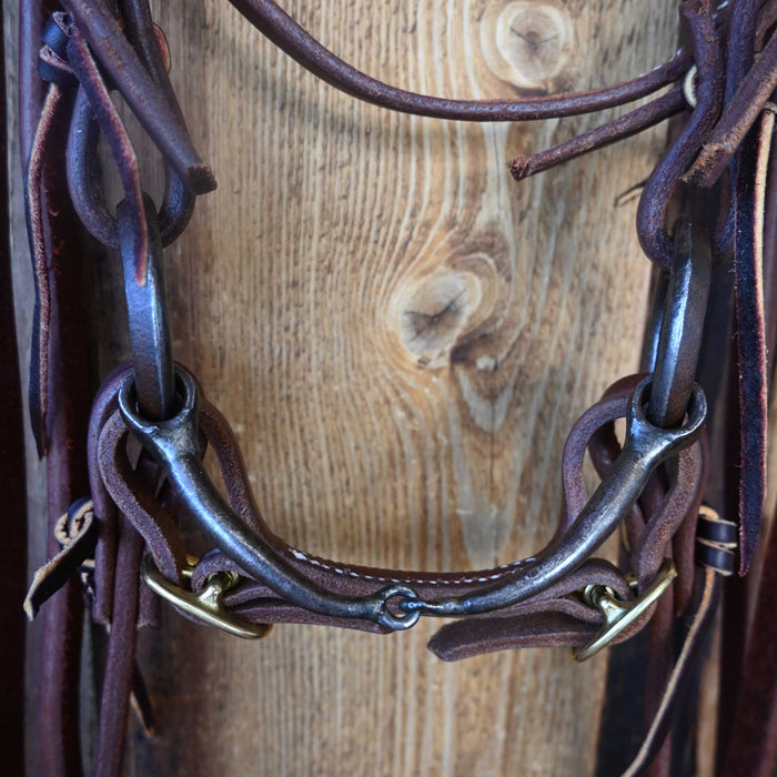 Locked O-Ring Snaffle Bridle Rig w/Browband Headstall