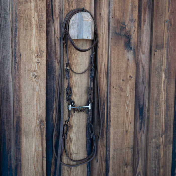 Cactus Saddlery Lifesaver Bridle Rig w/Browband