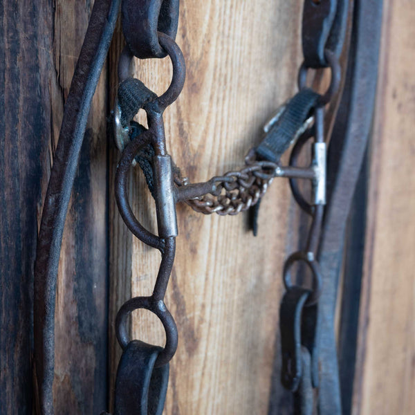 Headstalls & Rigs