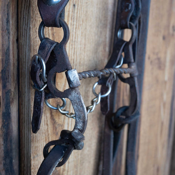 Headstalls & Rigs