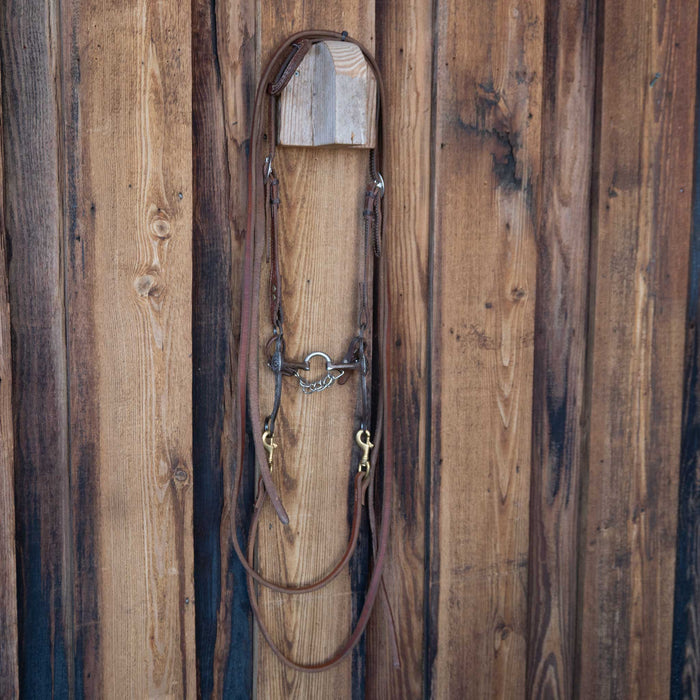 Correction Bridle Rig w/Single Ear Headstall