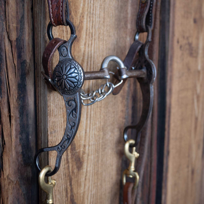 Correction Bridle Rig w/Single Ear Headstall
