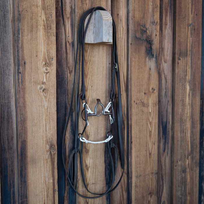 Cathedral Bridle Rig w/Split Ear Headstall