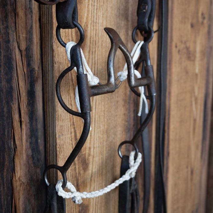 Cathedral Bridle Rig w/Split Ear Headstall
