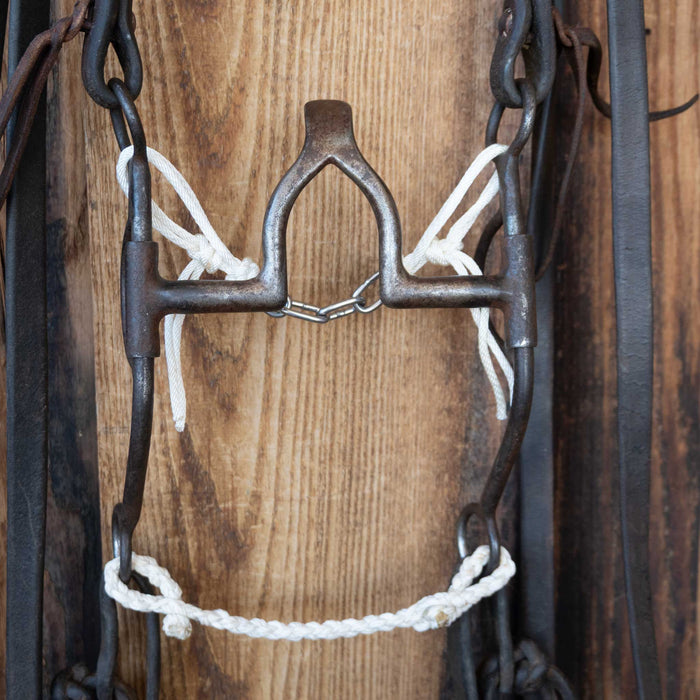 Cathedral Bridle Rig w/Split Ear Headstall