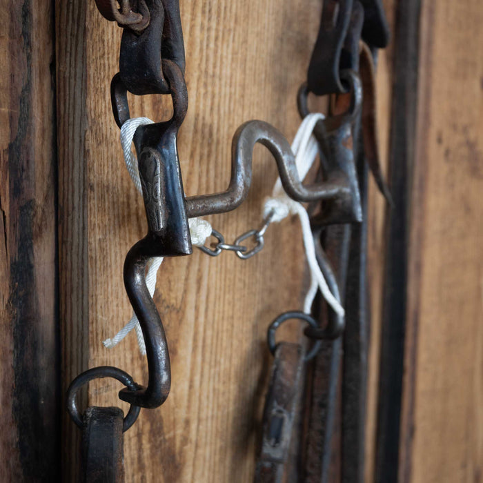 Solid Port Bridle Rig w/Single Ear Headstall