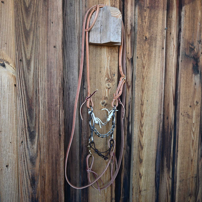 Ricky Trammell Chain Gag Bridle Rig w/Single Ear Headstall