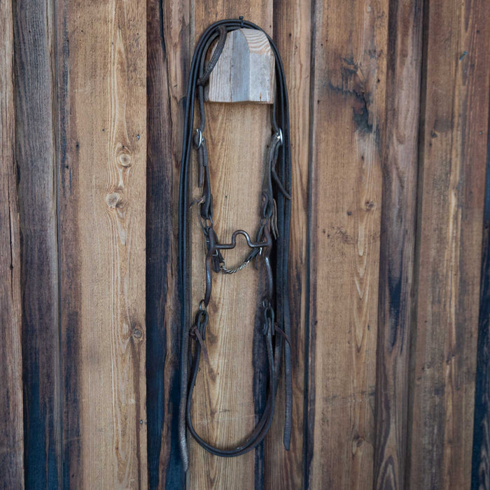 Solid Port Bridle Rig w/Single Ear Headstall