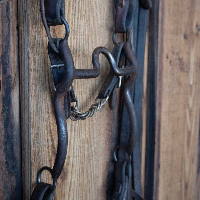 Solid Port Bridle Rig w/Single Ear Headstall