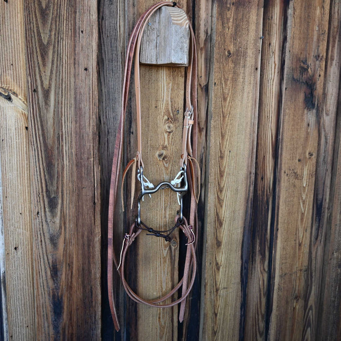 Ricky Trammell Solid Port Bridle Rig w/Split Ear Headstall