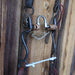 Dutton Correction Bridle Rig w/Split Ear Headstall Tack - Rigs Dutton
