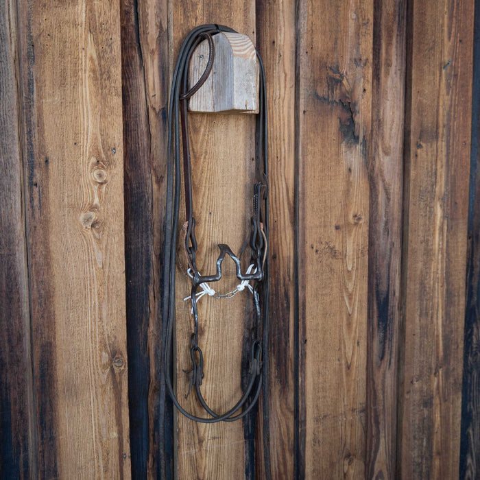 Cathedral Bridle Rig w/Single Ear Headstall