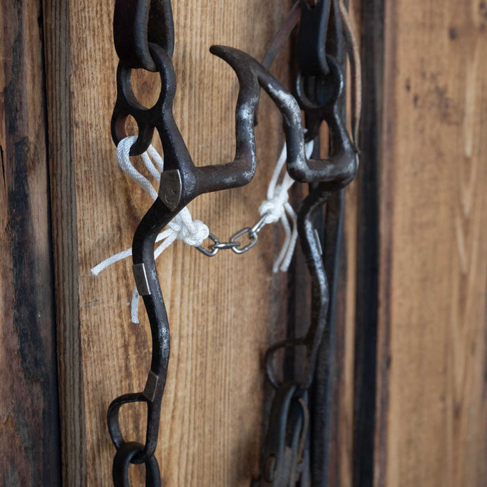 Cathedral Bridle Rig w/Single Ear Headstall