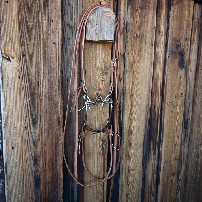 Cutrell Solid Port Bridle Rig w/Split Ear Headstall