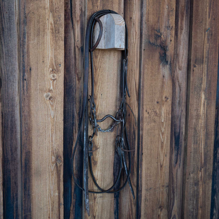 Solid Port Bridle Rig w/Single Ear Headstall