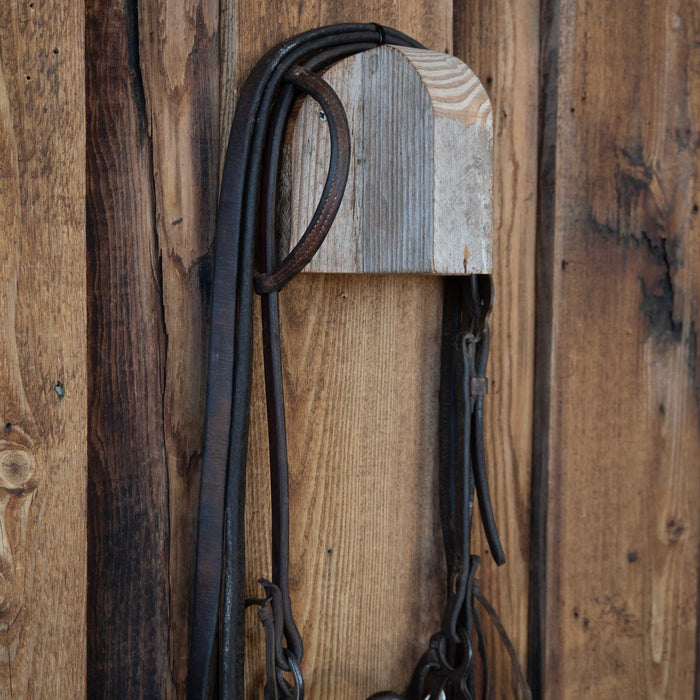 Solid Port Bridle Rig w/Single Ear Headstall