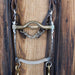 Sleister Solid Port Bridle Rig w/Split Ear Headstall Tack - Rigs Sleister